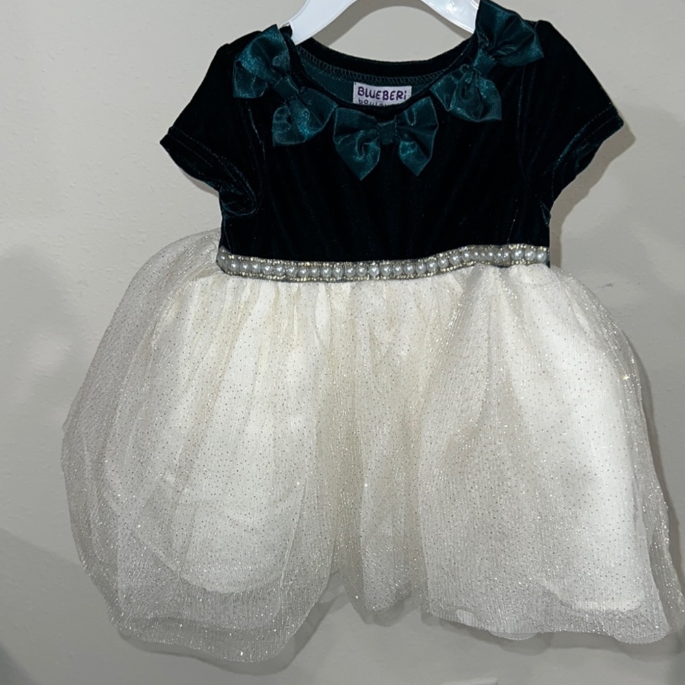 Blueberi Boulevard Velvet Green and Cream Dress